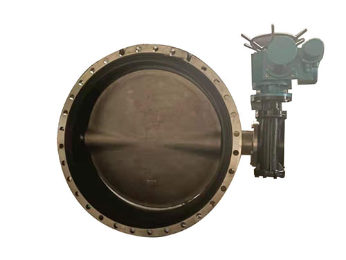 D941X-10P304 flange butterfly valve